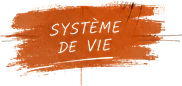 Système de vie