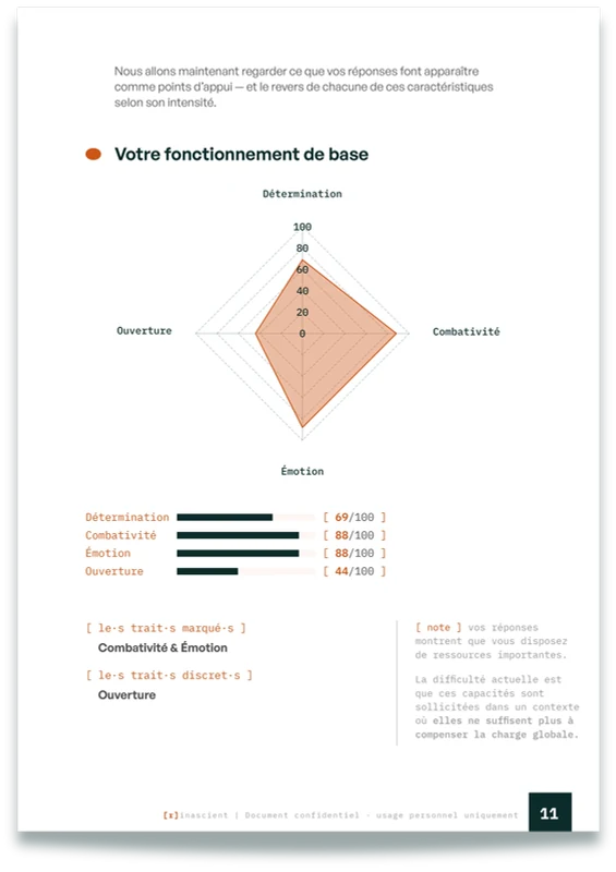 Pages du rapport PDF : sommaire, lecture du fonctionnement et graphique radar